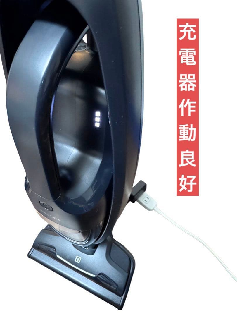 エレクトロラックス Well Q6 掃除機 WQ61-1OGG 2020