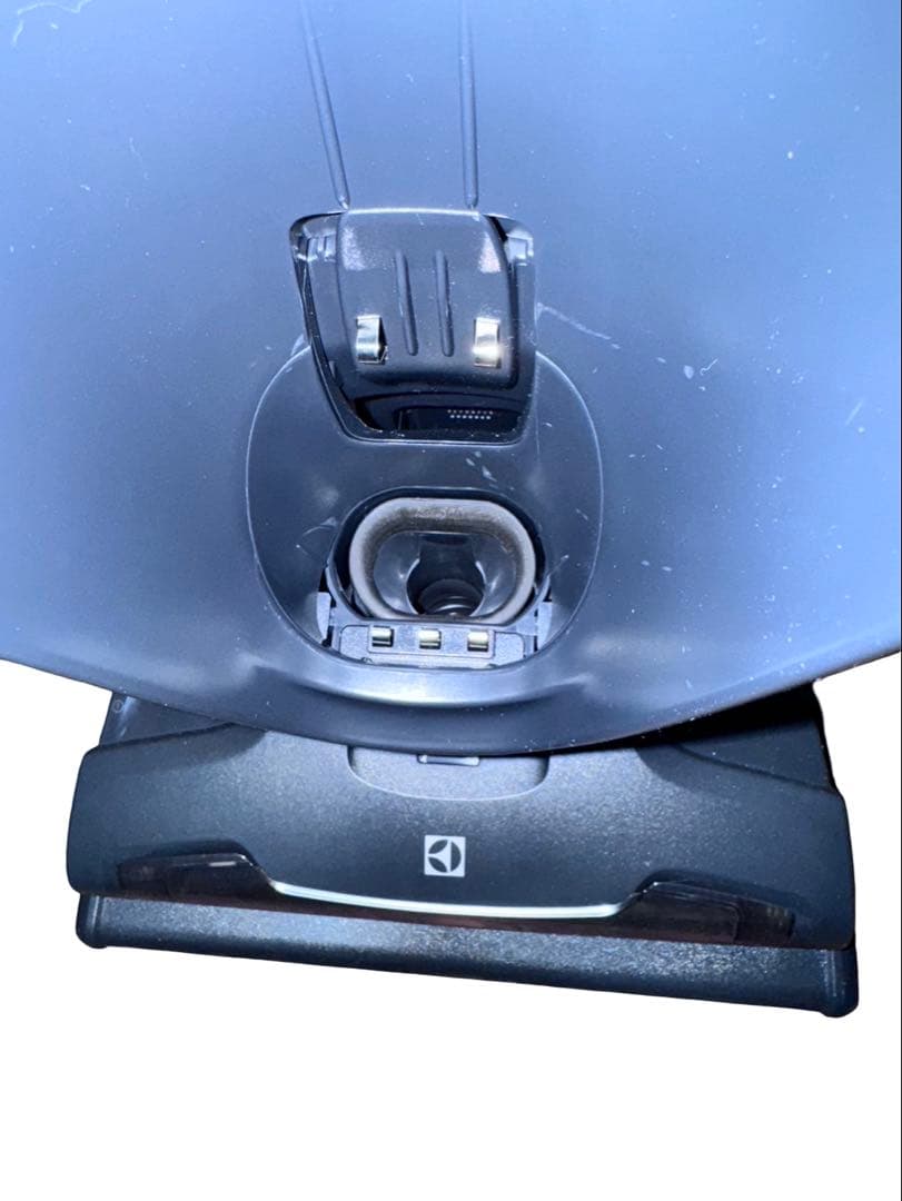 エレクトロラックス Well Q6 掃除機 WQ61-1OGG 2020