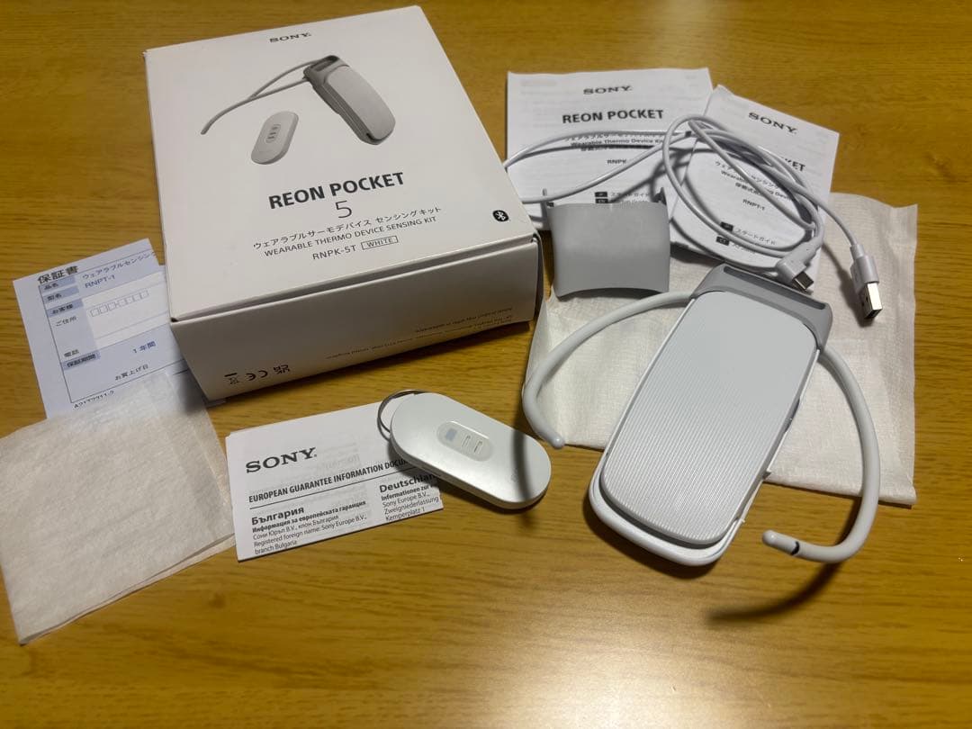 SONY REON POCKET 5 冷却機能付き