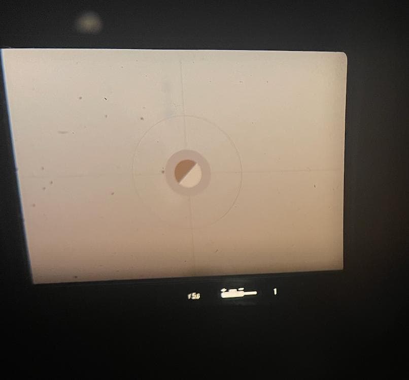 Nikon F2 フォトミック + Nikkor S.C 50mm F1.4