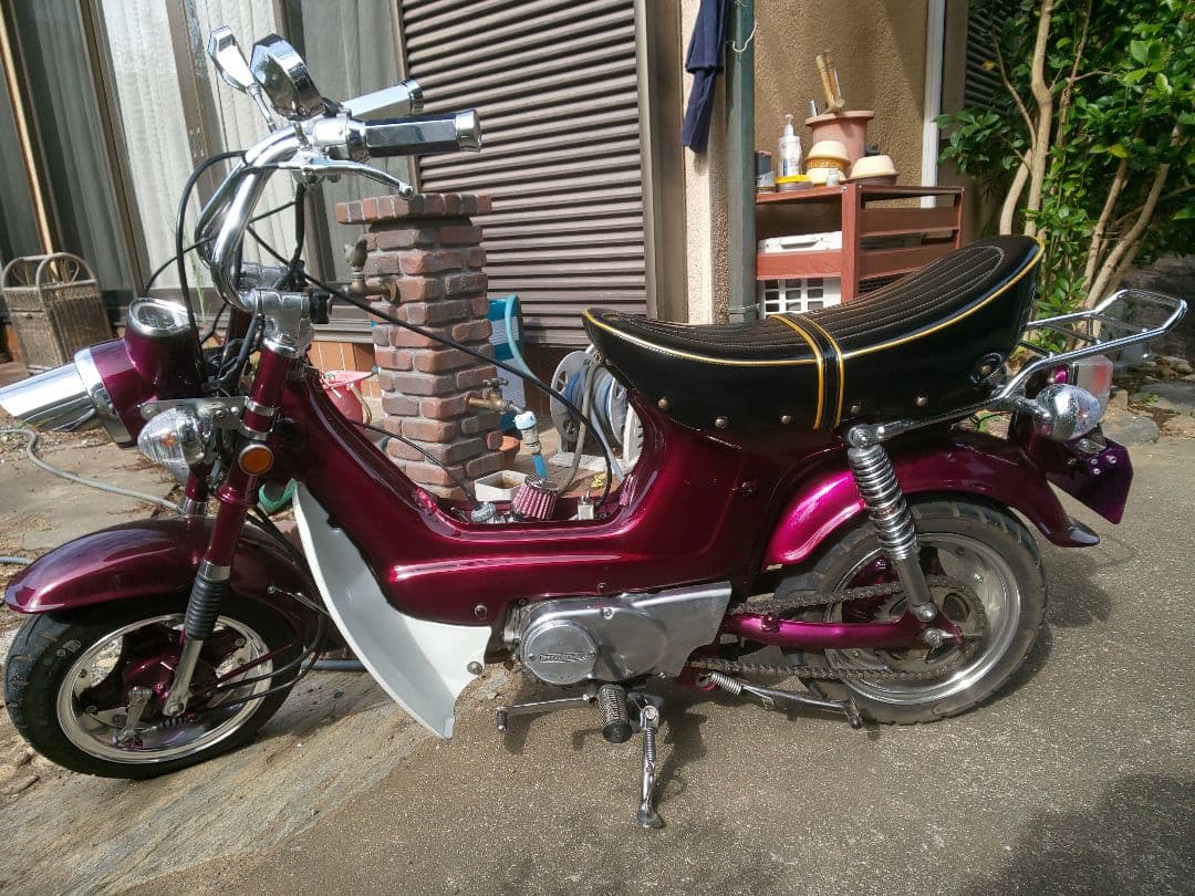 ⭐*️様 シャリーシャリィ&ダックスDAX用バナナ 氣志團カラー 黒＆金ちょび三