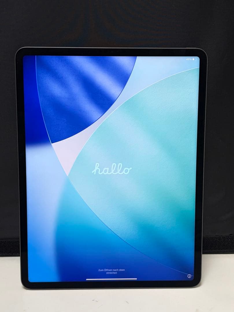 【美品/M1】iPad Pro 12.9インチ 第5世代 256GB グレイ