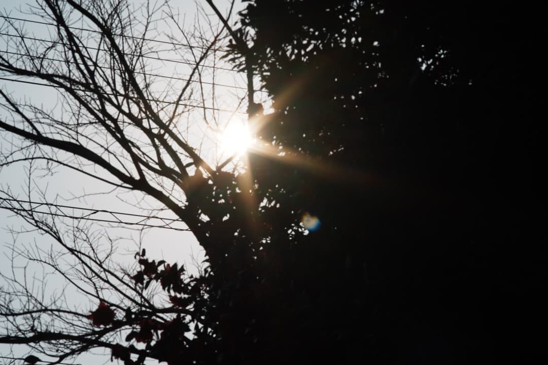 【極美品】Carl Zeiss Sonner 135mm f2.8 MMJ 41