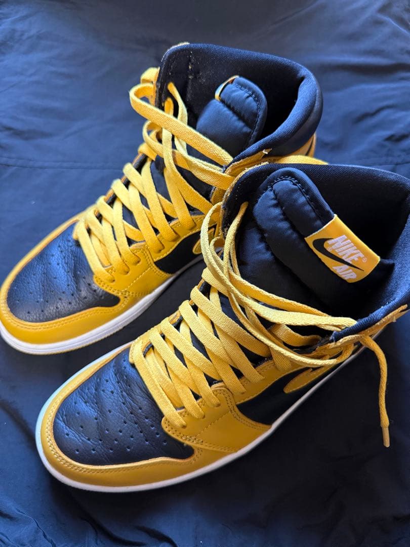 NIKE Air Jordan 1 Retro High OG “Pollen”