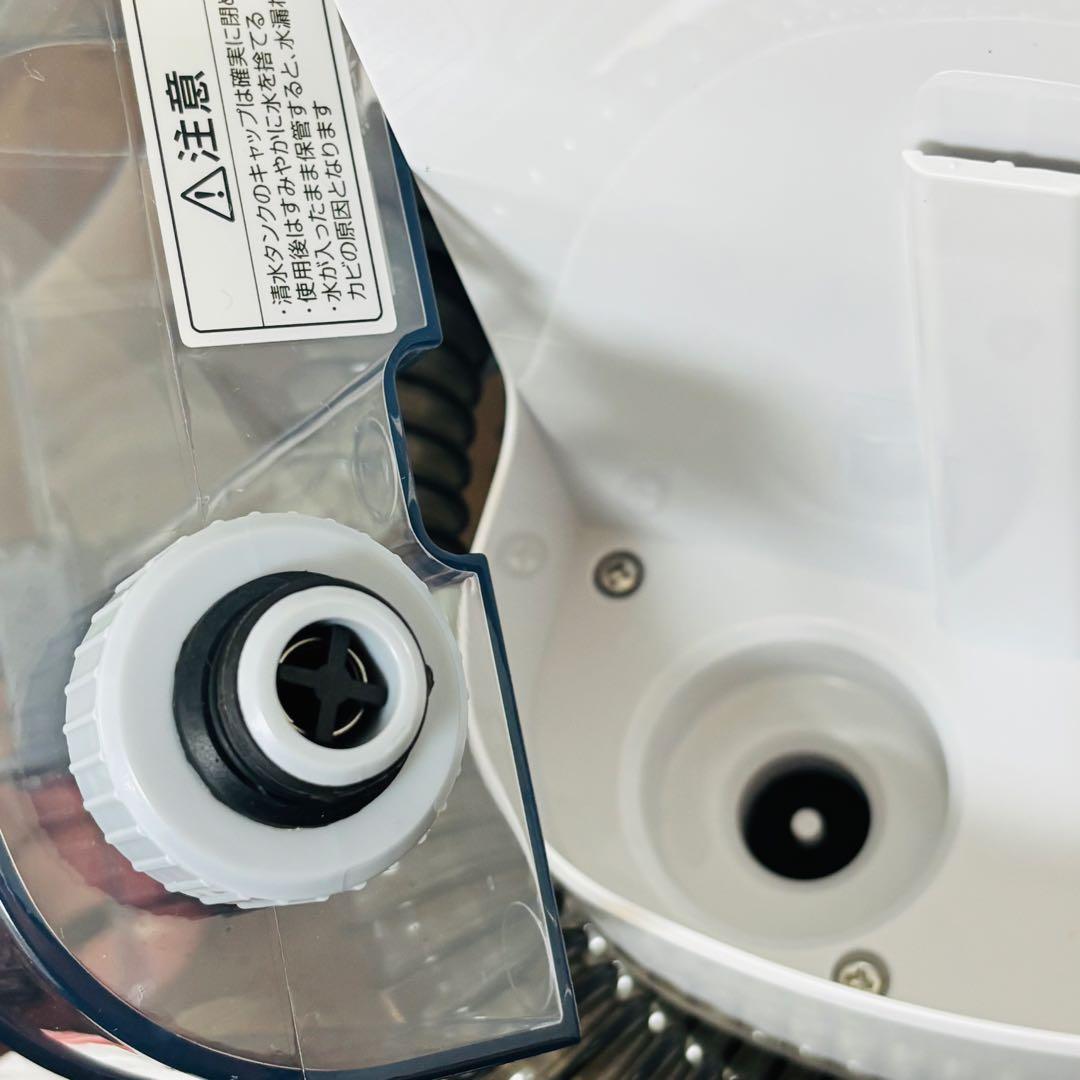 ★専用洗剤付★【アイリスオーヤマ】 リンサークリーナー 洗浄 RNS-P10