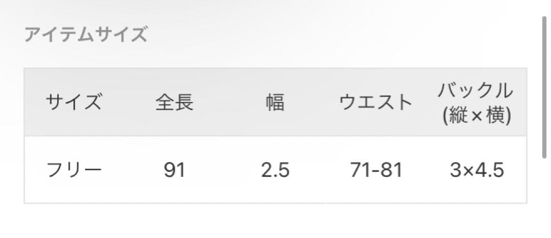 【新タグ付】Plage LEFIJE レフィエ 25MM G BACKLEベルト
