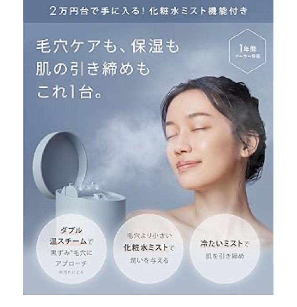 SALONIA PURE BRIGHT STEAMER グレー