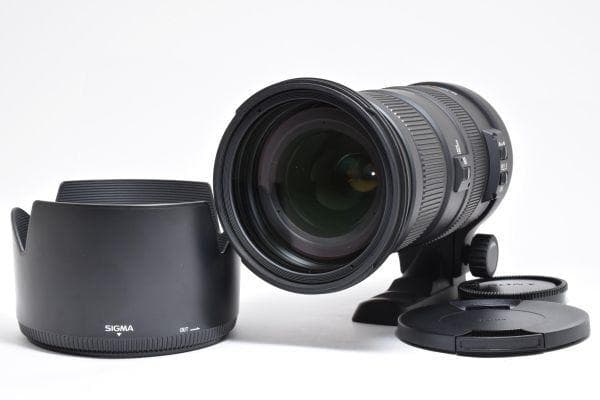 ★極上美品★ ソニー用 SIGMA APO 50-500mm HSM #779