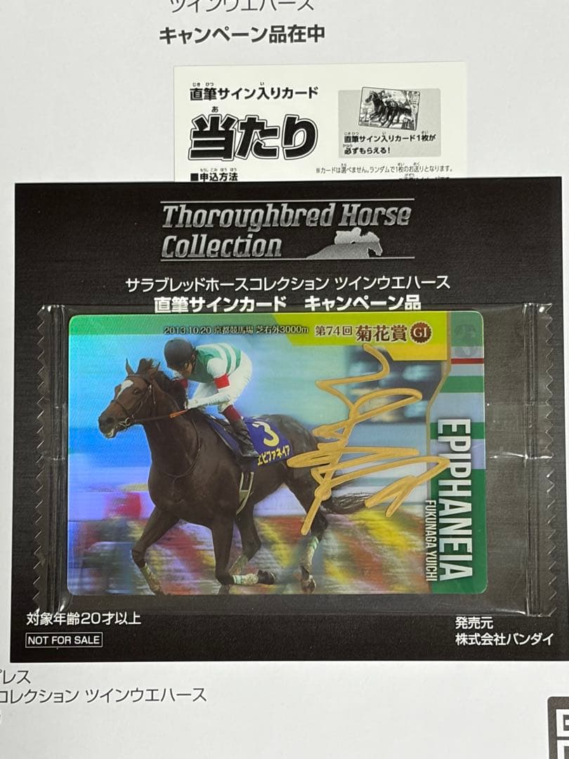 ⭐︎直筆サイン入り⭐︎エピファネイア／福永祐一元騎手・サラブレッドホースコレクション