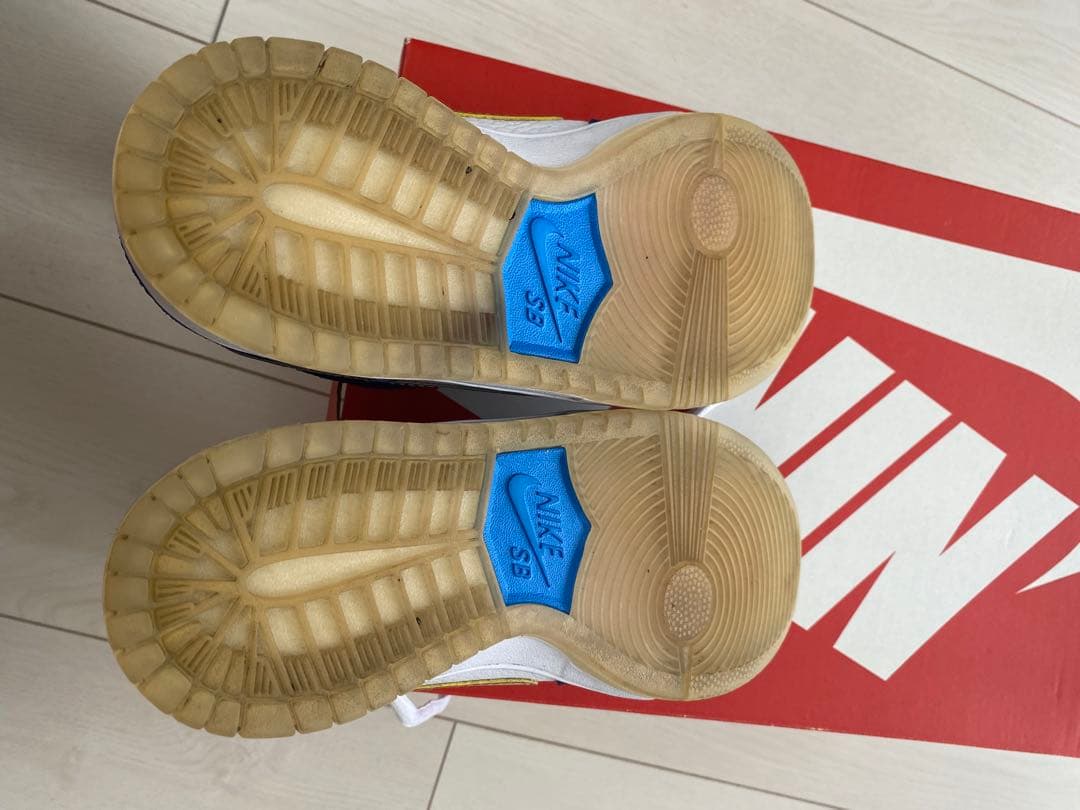 スケートボード NIKE DUNK LOW PRO IW QS 