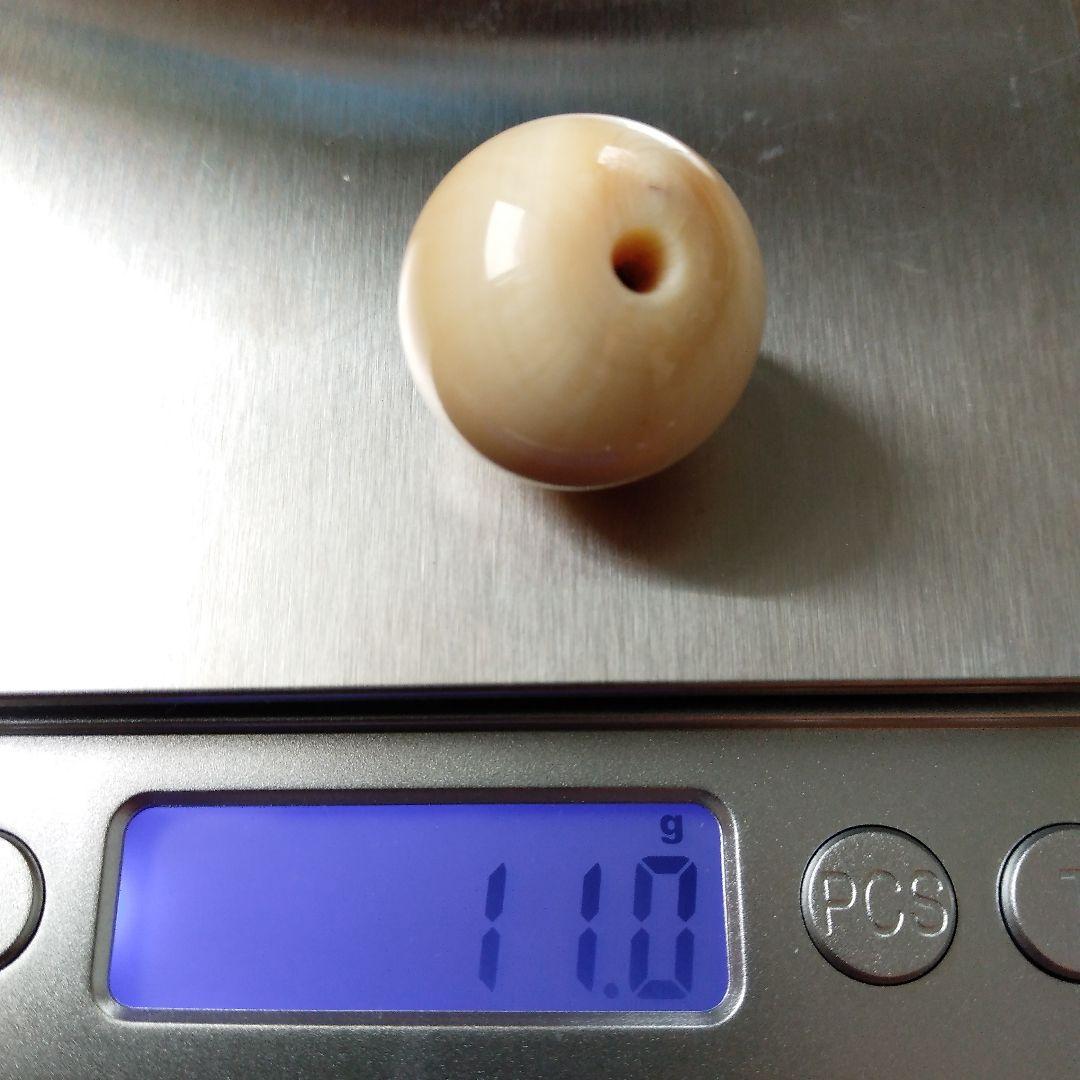 鯨歯　マッコウクジラ　牙玉　ルース　約21.5㎜　片穴約3.5㎜