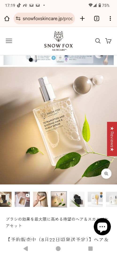 最終値下げ!!お得です!! FOX ヘアブラシ・スカルプケアセット