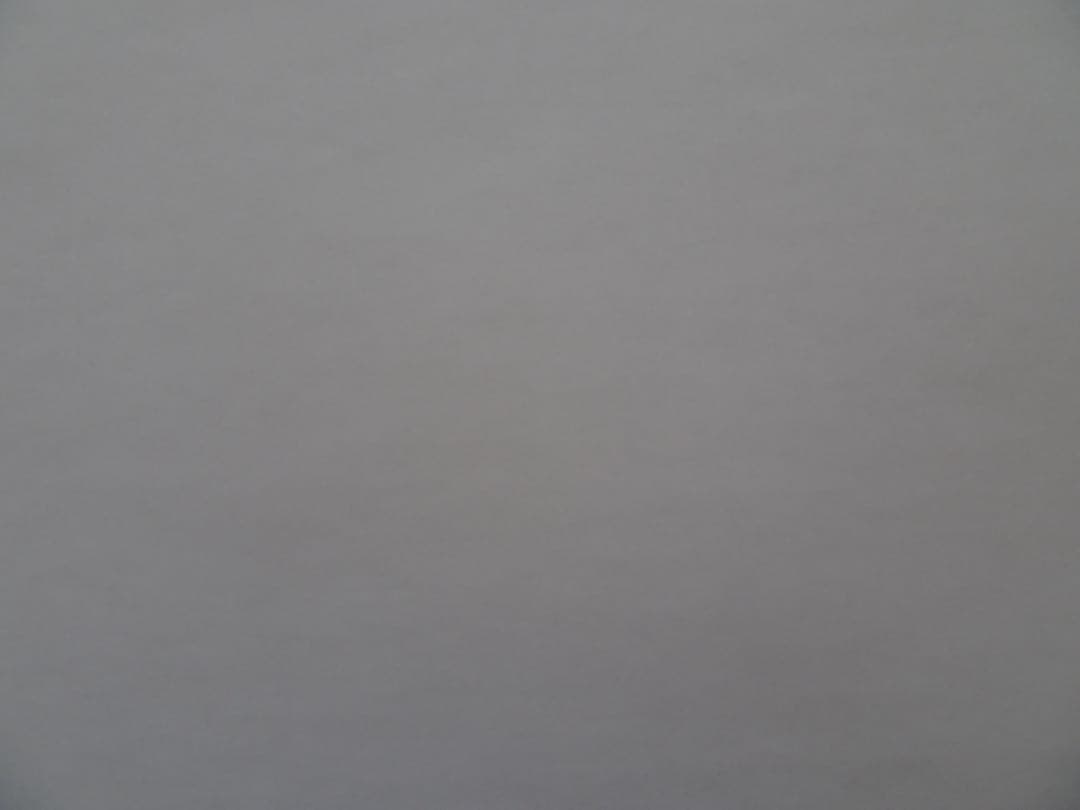 SONY DSC-WX500 サイバーショット デジタルカメラ