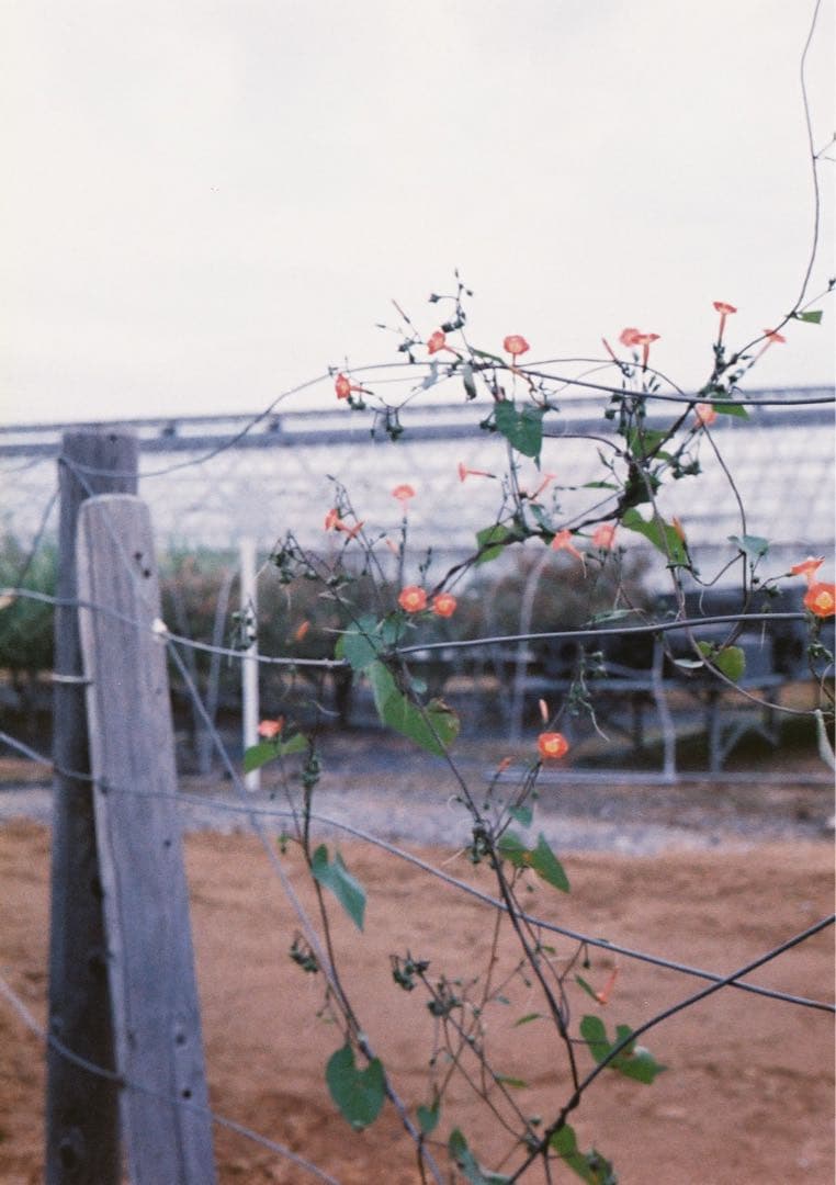 【動作確認・清掃済み】OLYMPUS PEN EED 32mm f1.7