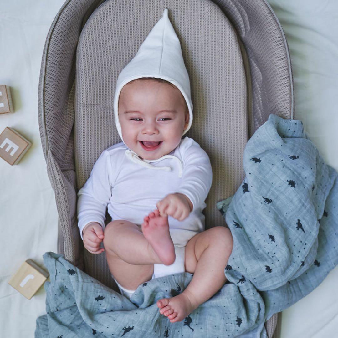 極美品✨　neomamaism ベッドインベッド グレー 収納バッグ付き