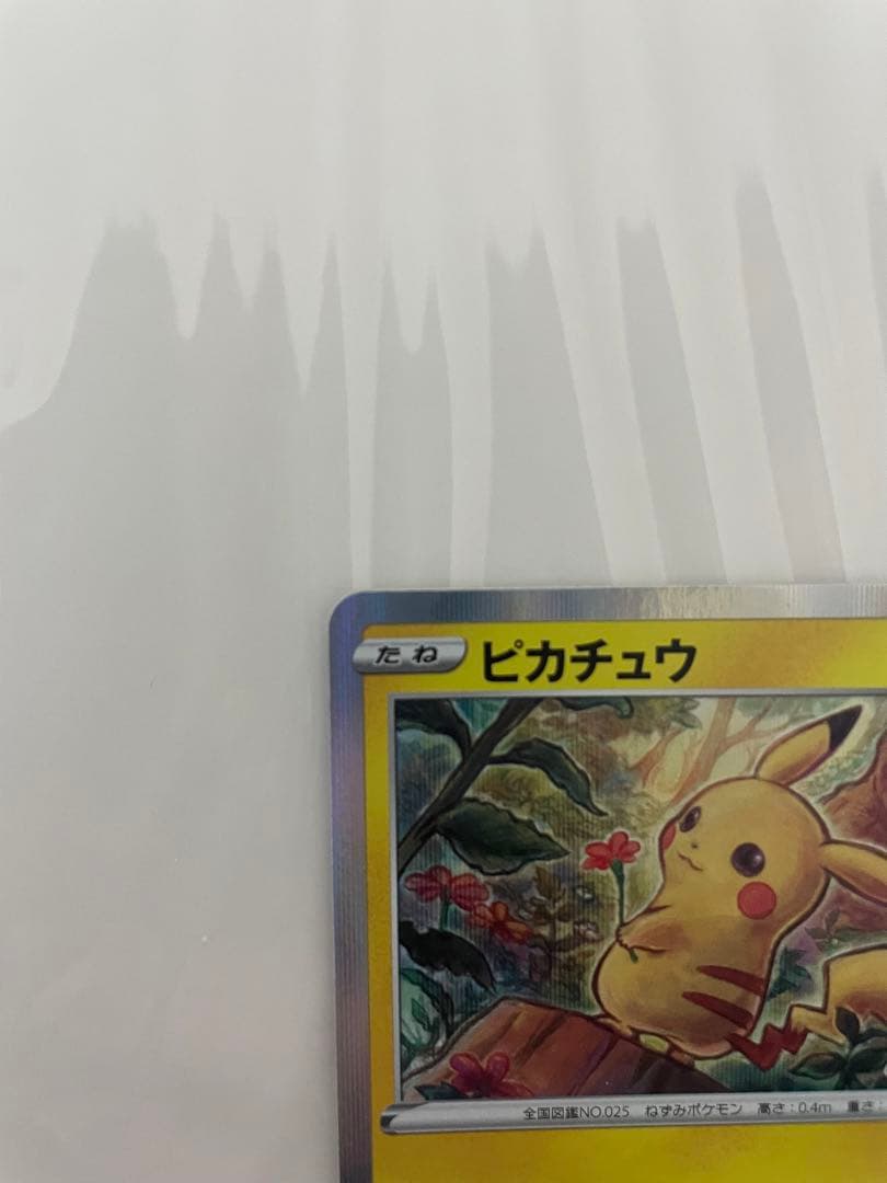 ピカチュウ：「ピカピカ！ピカチュウ！プロモカードキャンペーン！」 PROMO