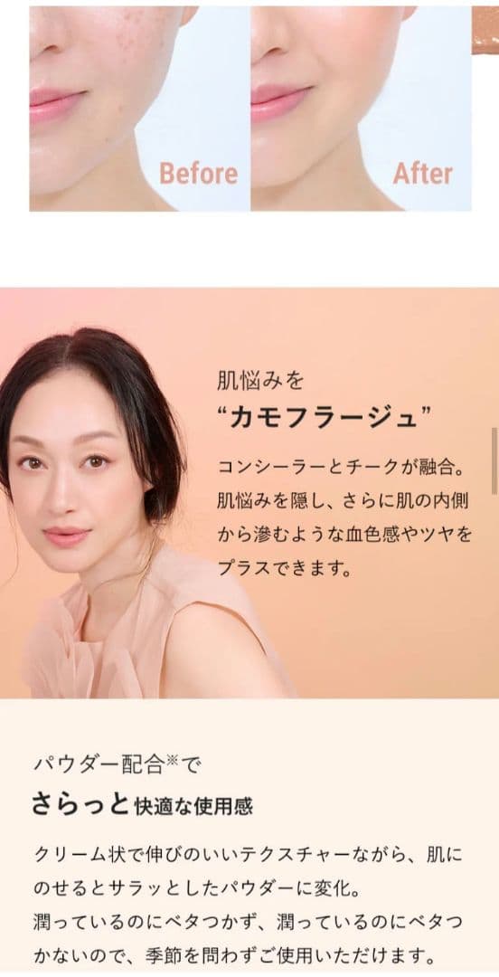 ブリリアージュ カモフラージュコンシーラーチーク 04＆ ワイドフィンガーブラシ