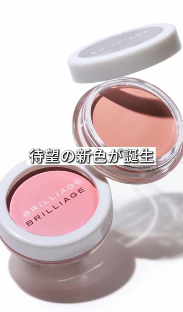 ブリリアージュ カモフラージュコンシーラーチーク 04＆ ワイドフィンガーブラシ