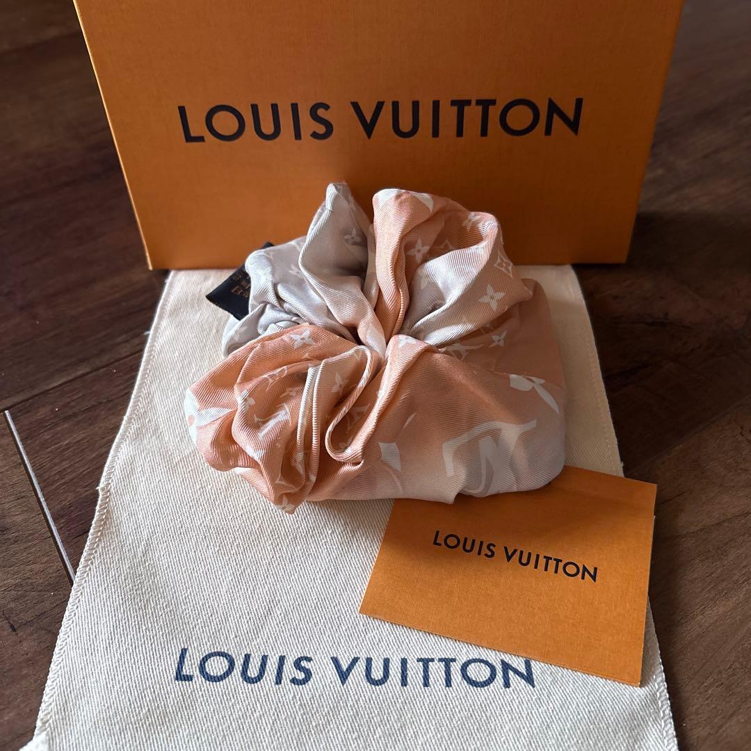 ⭐️美品⭐️ルイヴィトン M76801 シュシュ・モノグラム プール