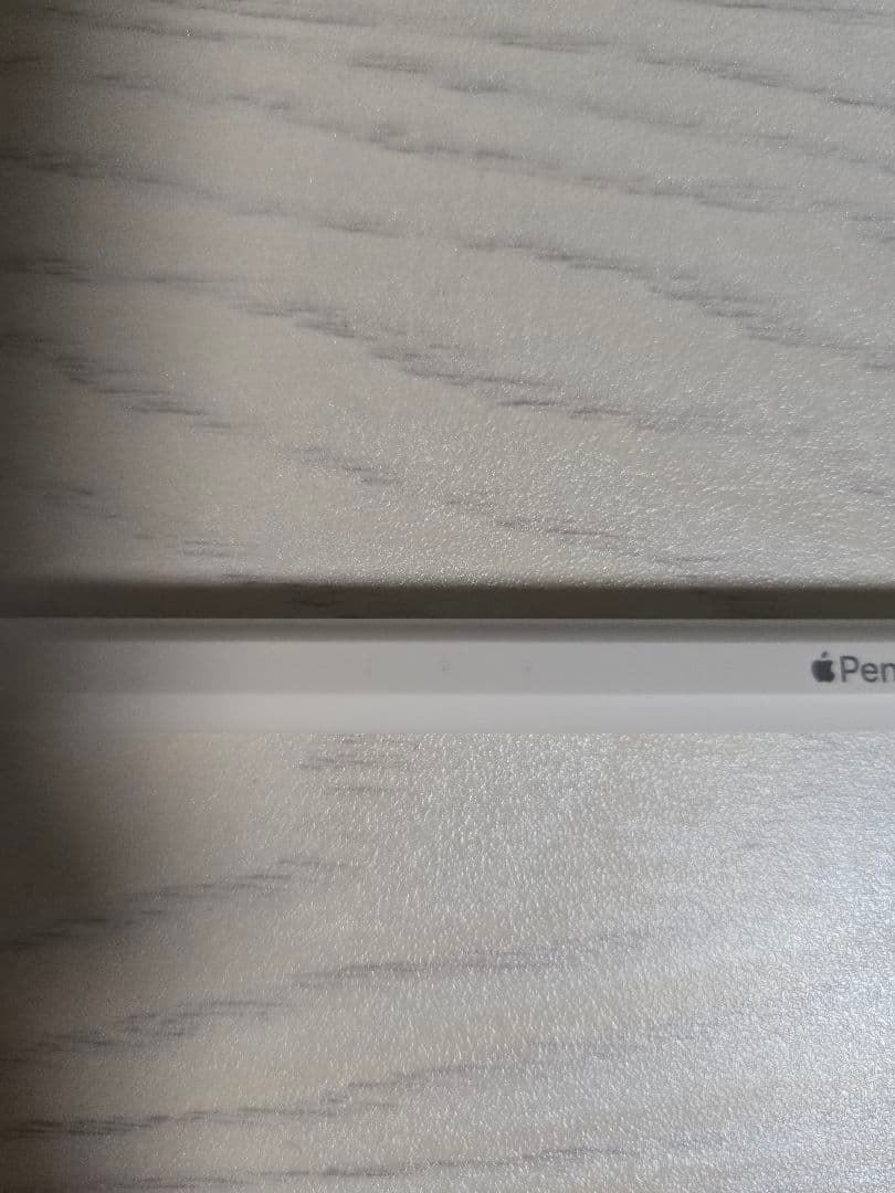 【即日配送】Apple Pencil Pro ホワイト 純正品