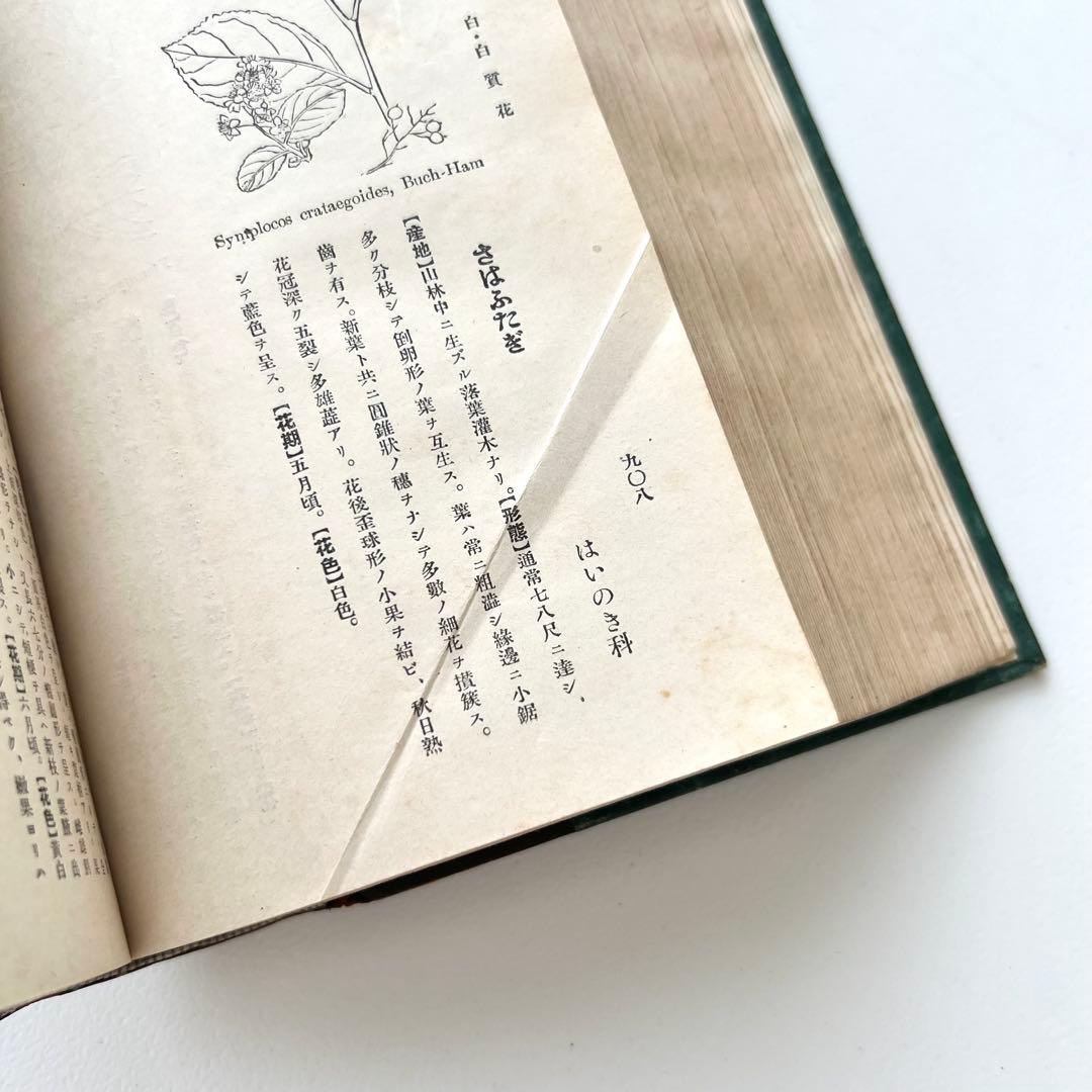 日本植物図鑑　牧野富太郎　北隆館　1925年初版