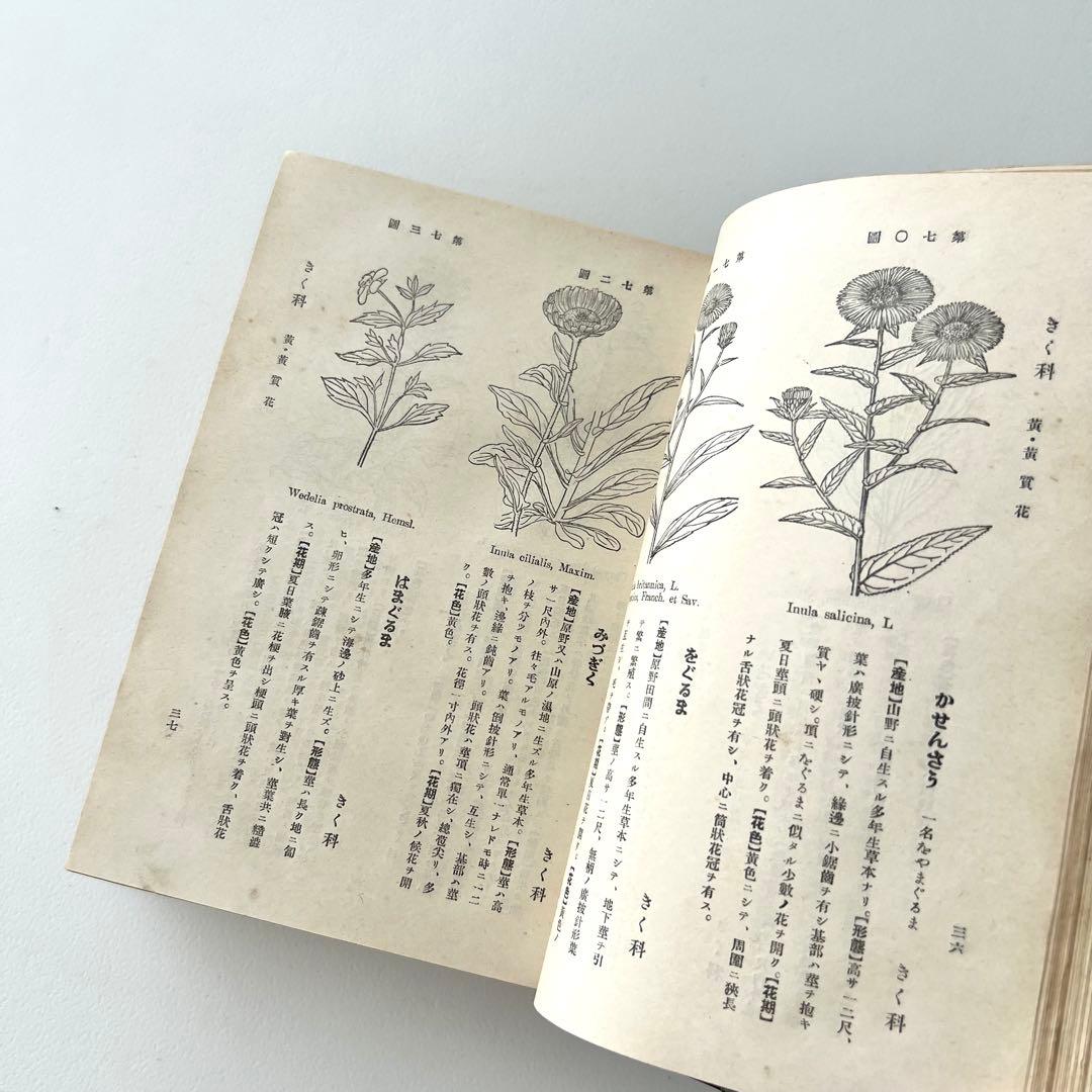 日本植物図鑑　牧野富太郎　北隆館　1925年初版