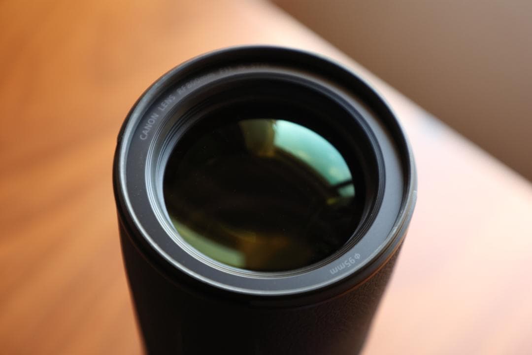 キヤノン RF800mm F11 IS STM 箱・保証書付き