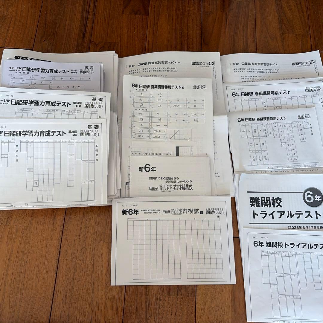 2025年日能研6年生前期育成テストフルセット
