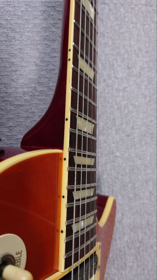 FUJIGEN NLS20RFM レスポール