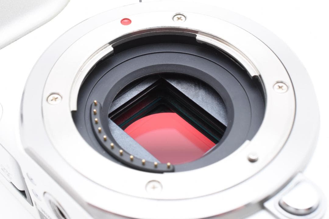 Panasonic DMC-GF5X ミラーレス一眼カメラ