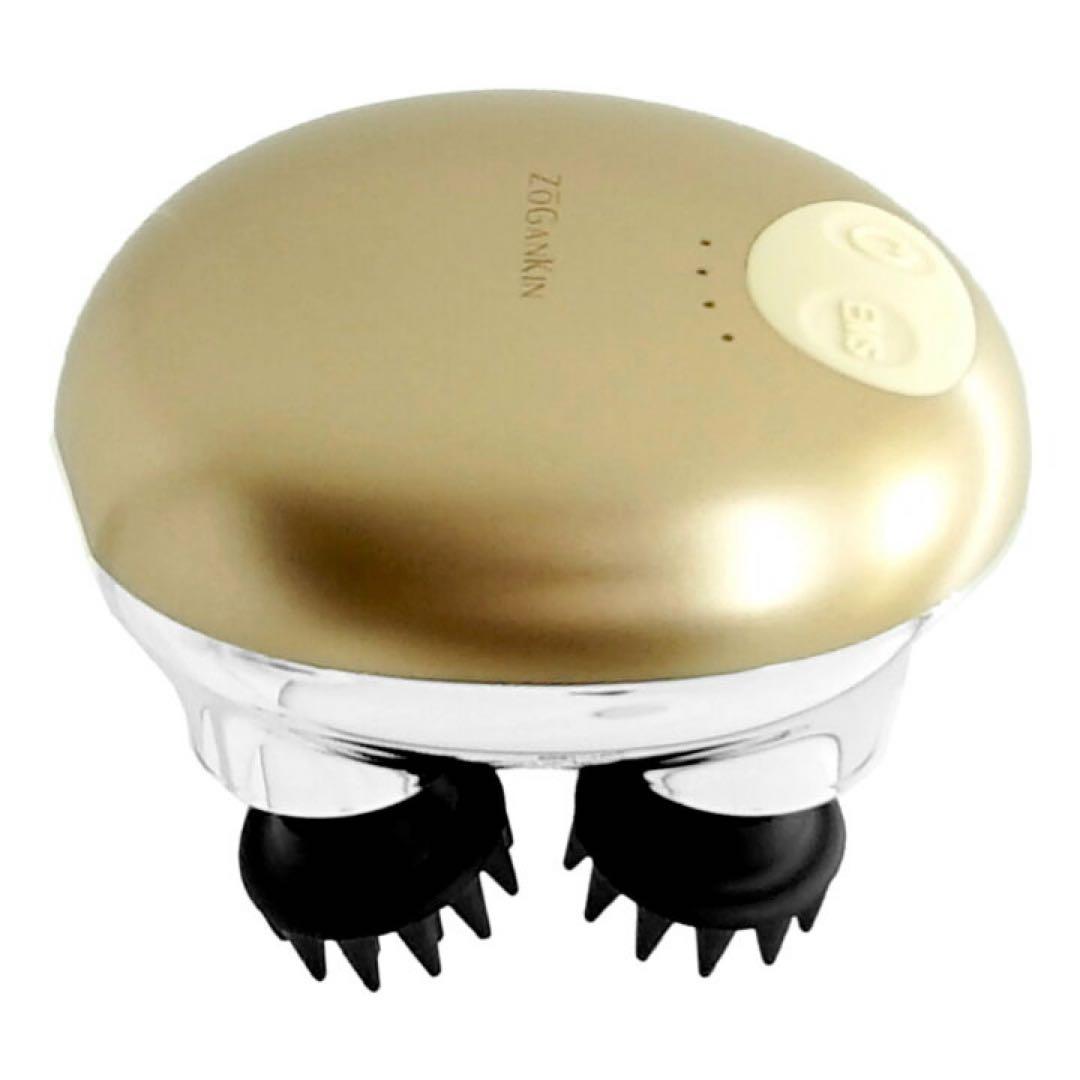 ZOGANKIN 美顔器 ゴールド