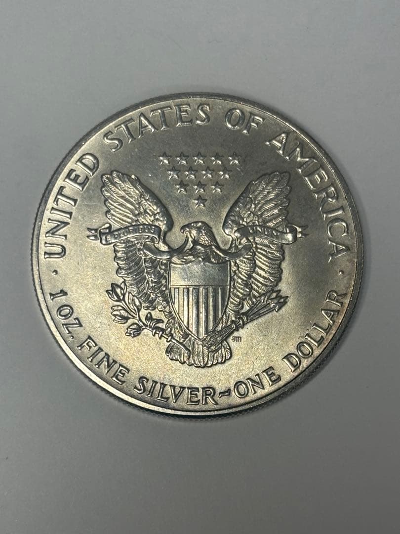 アメリカ 1ドル シルバー 31.3g