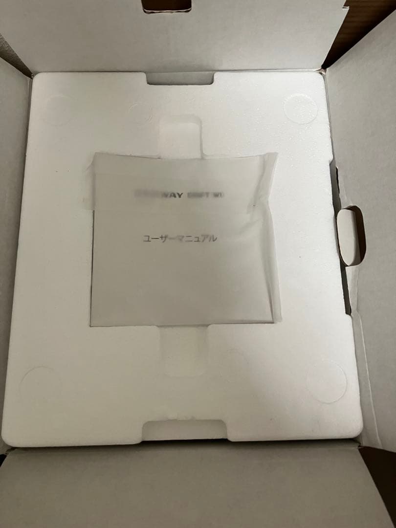 Segway Drift W1セグウェイドリフト