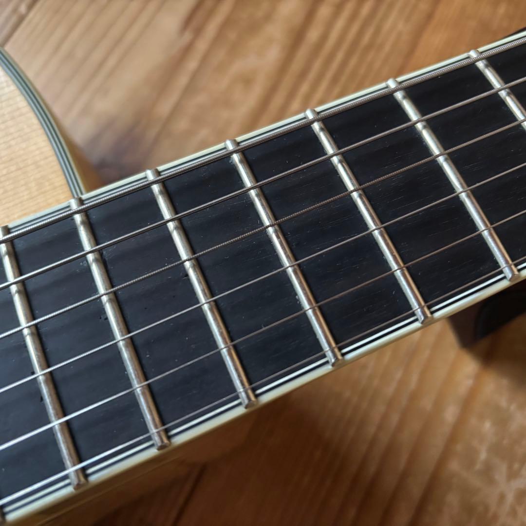 2019年製 Eastman AR810CE