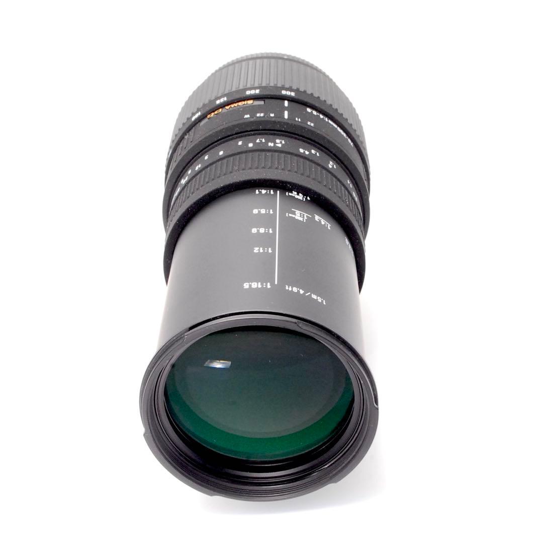 ✨感動を捉える✨SIGMA DG 70-300㎜✨ニコン用✨超望遠レンズ✨