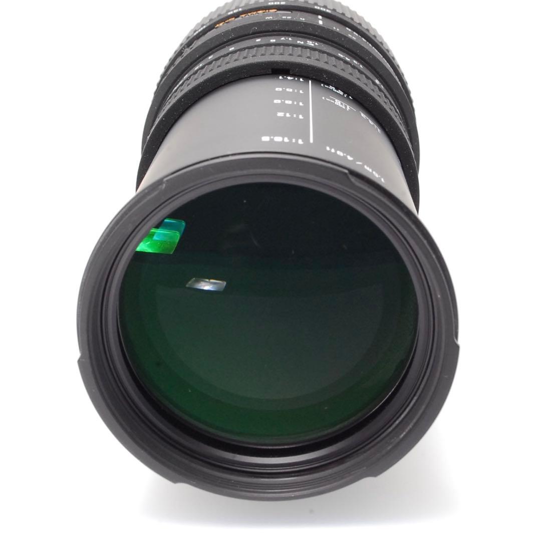 ✨感動を捉える✨SIGMA DG 70-300㎜✨ニコン用✨超望遠レンズ✨
