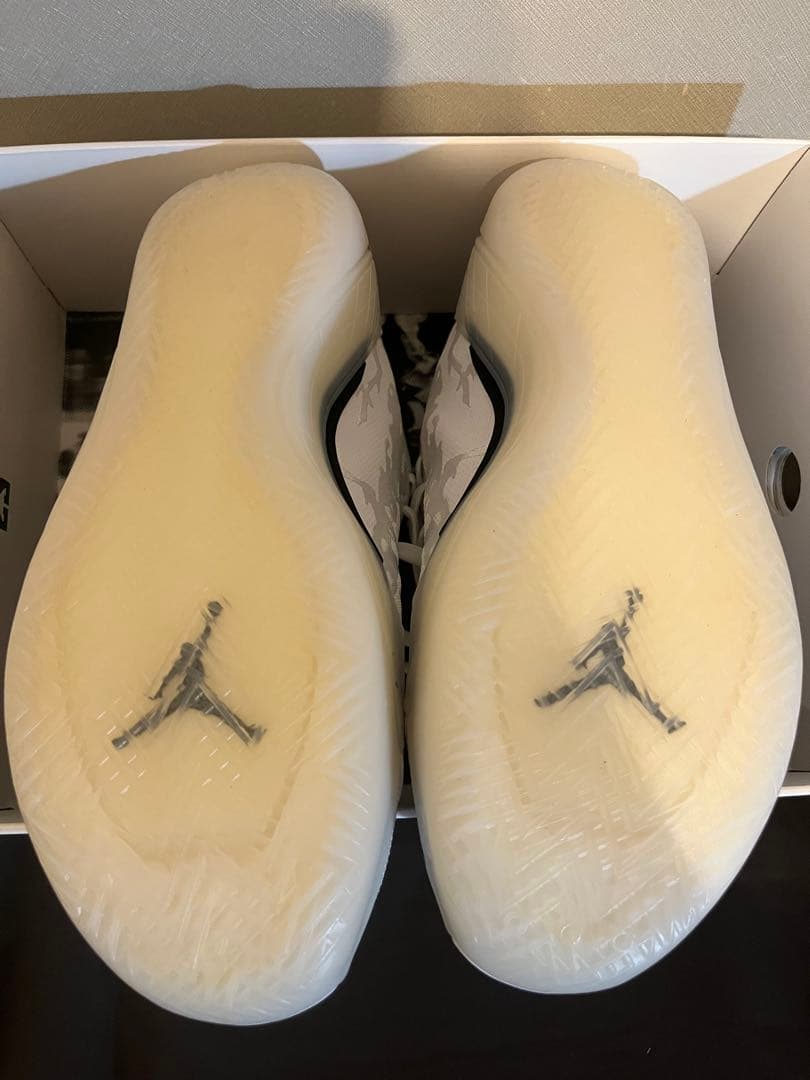 シューズ(男性用) Air Jordan 39 30cm