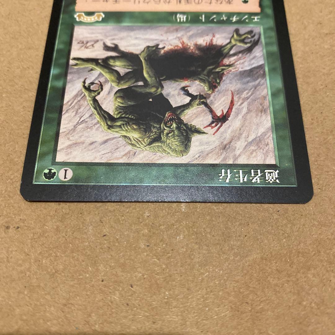 MTG 適者生存/Survival of the Fittest 日本語