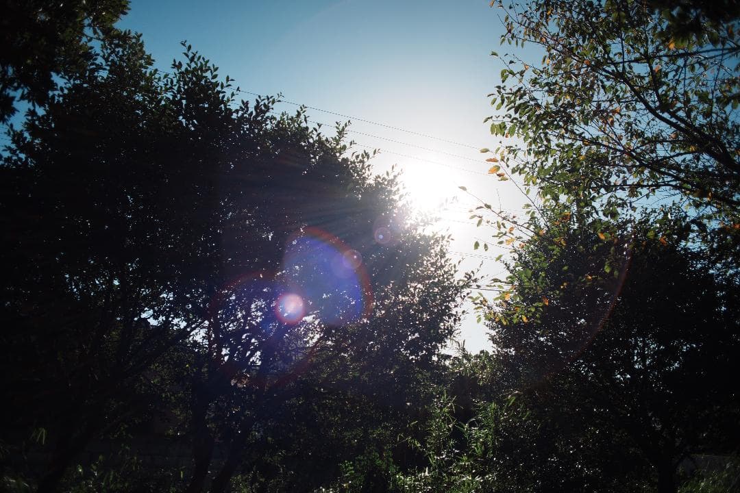 エラー刻印 Nikon Nikkor-N auto 24mm F2.8 Ai改