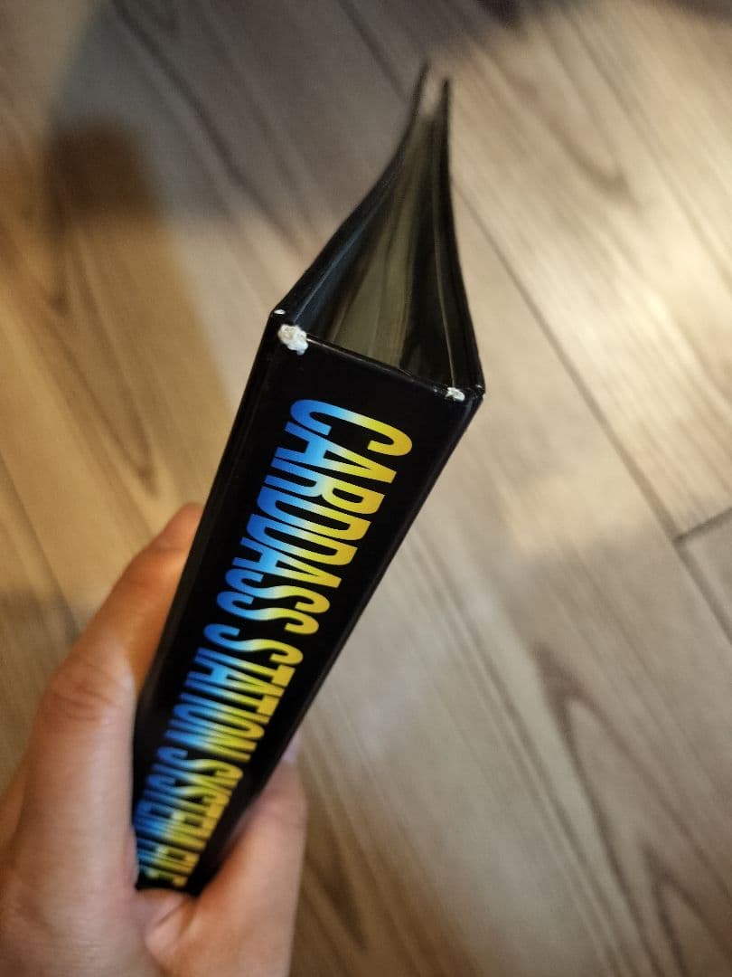 【当時品】ポケットモンスター シールダス　システムファイル付き