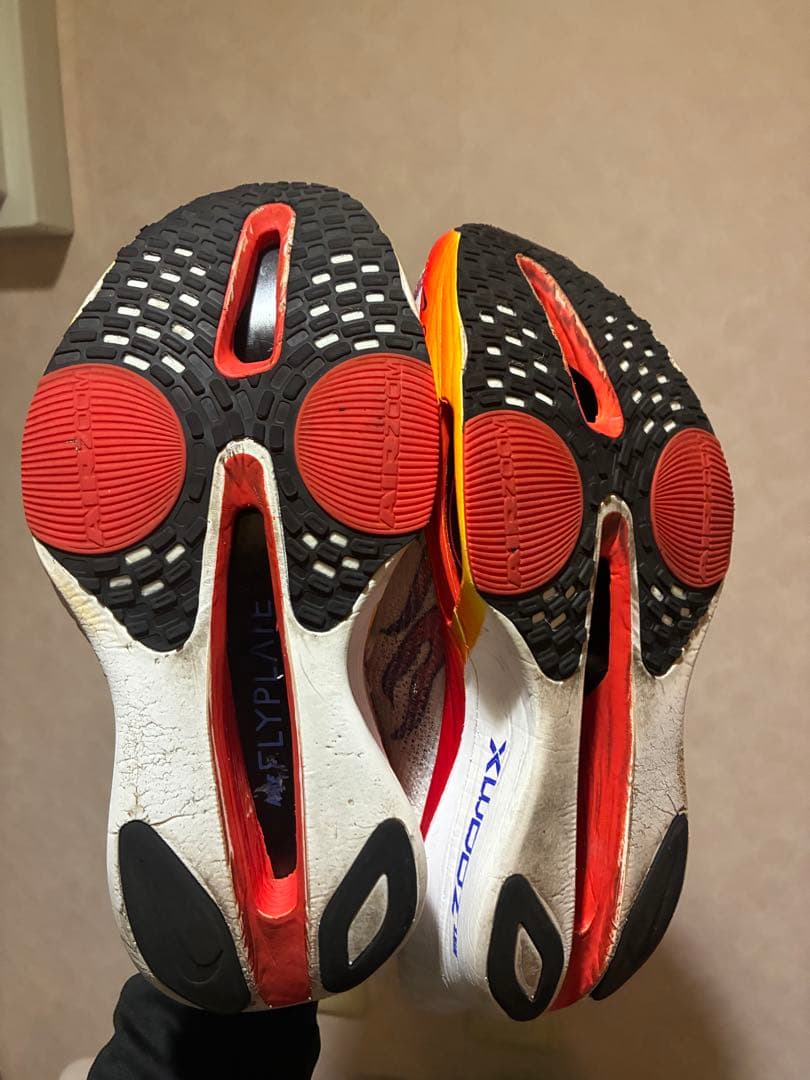 ナイキ NIKE アルファフライ3 アルファフライ　メンズ25