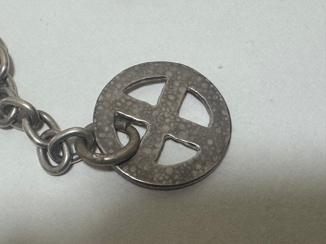 メディスンホイール付き、イーグルフックチェーン