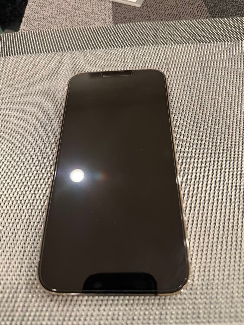 Apple iPhone 13 Pro max 512G シルバー + ケース