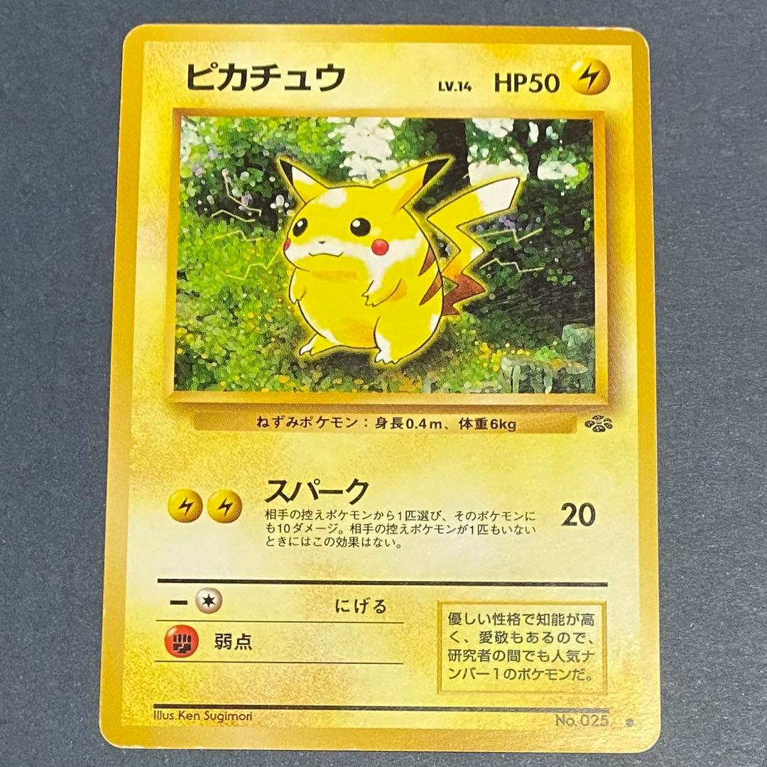 【旧裏】ピカチュウセット　ピチュー　ライチュウ　計5枚　プロモ含む