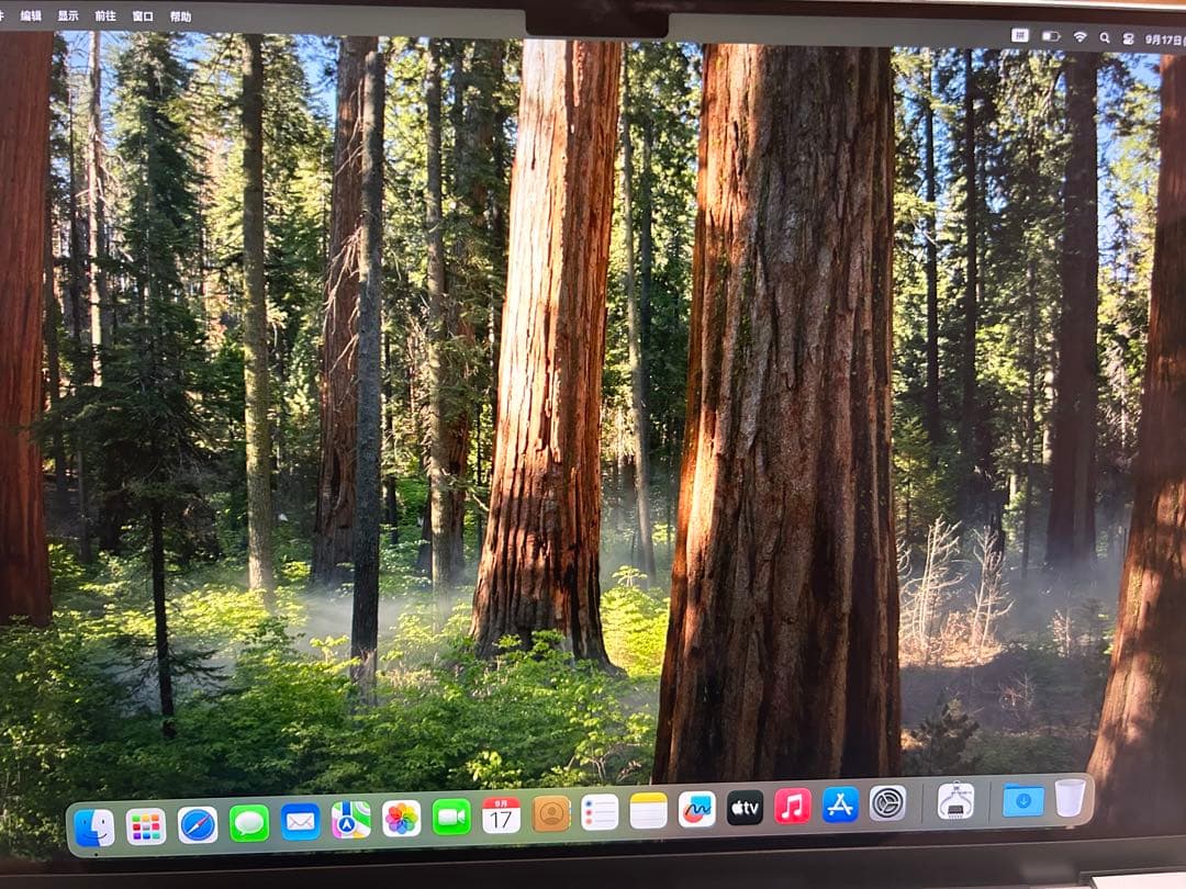 Apple MacBook M4 Pro 4TB 24GB 16インチ