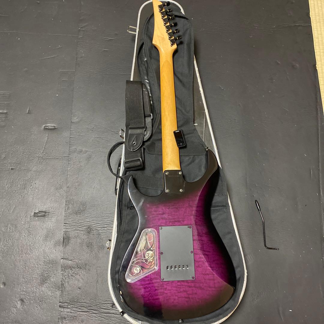 2月6日まで値下げ‼️FERNANDES FGZ400 トレモロアーム・ケース付