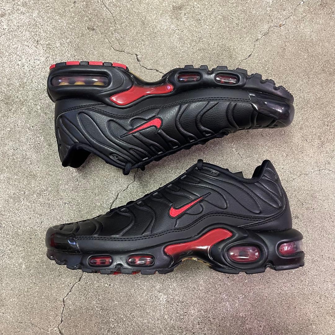 Nike Air Max Plus Premium FZ3038-001 29㎝
