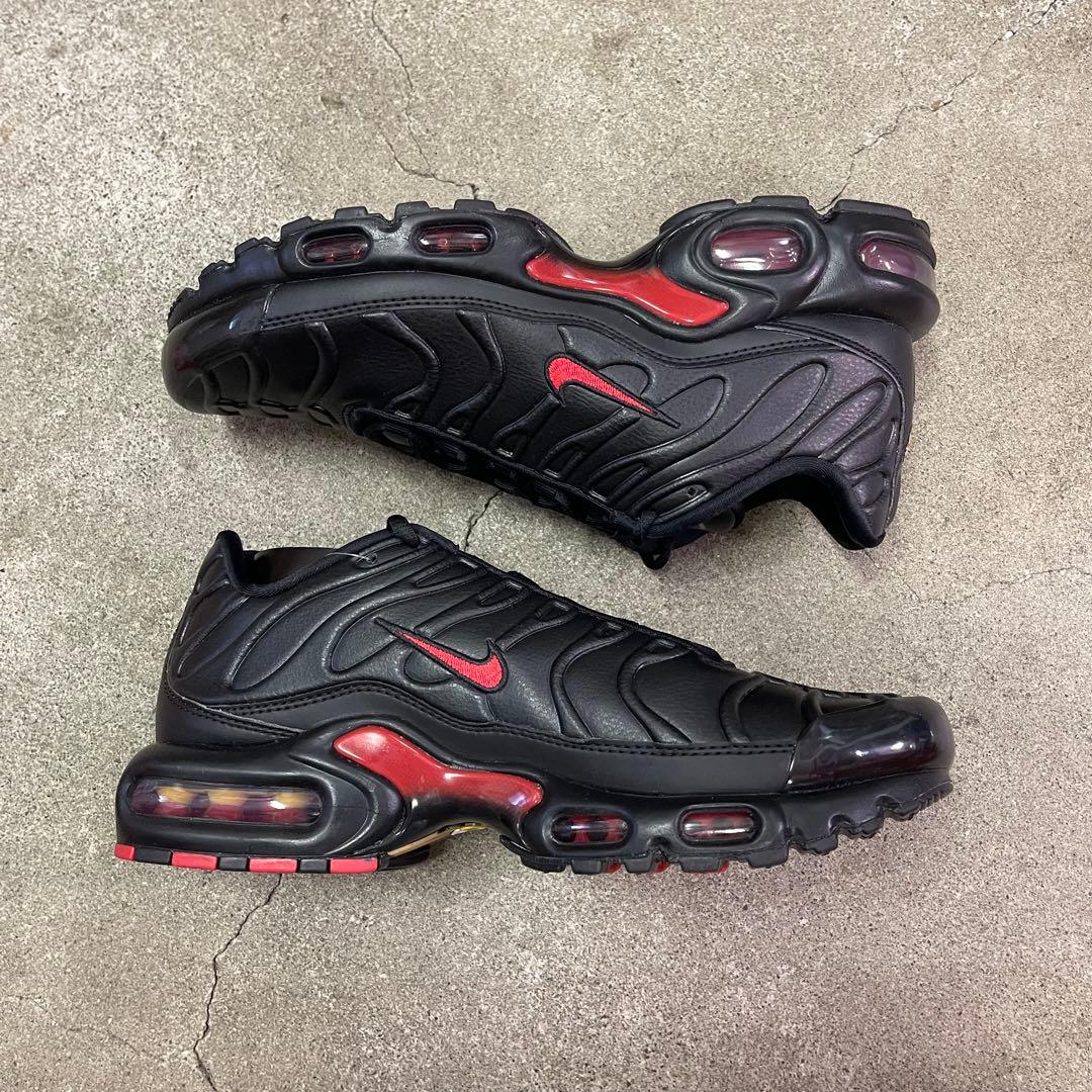 Nike Air Max Plus Premium FZ3038-001 29㎝