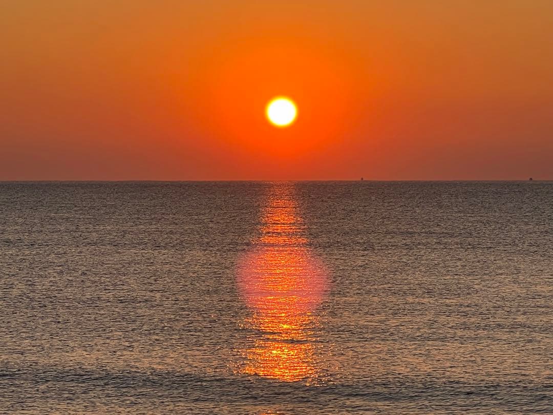 専用ページ✩.*˚★フラーレン★インプラント除去 セット❣️FABクリーム★