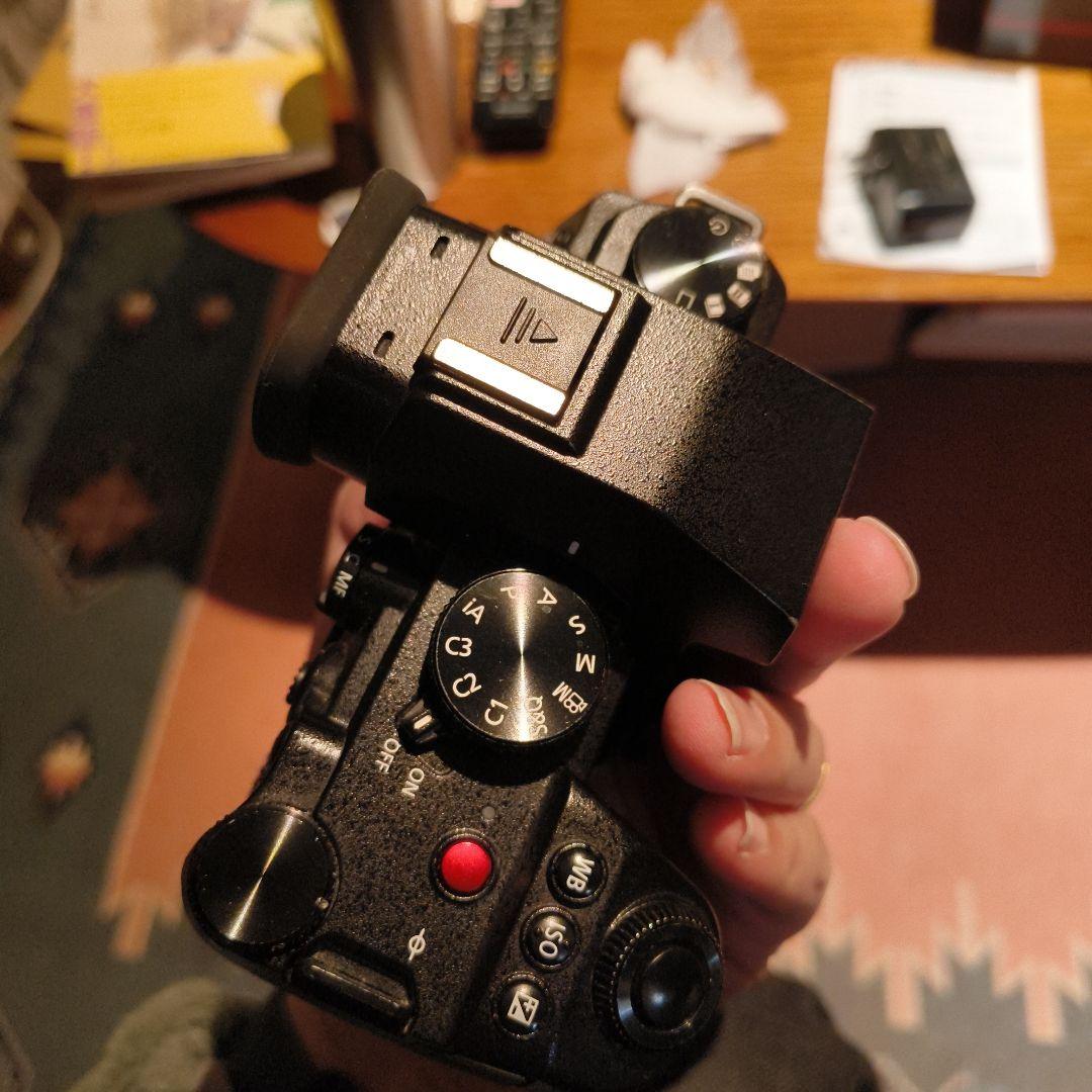 LUMIX S5Ⅱ ボディ美品 純正バッテリー